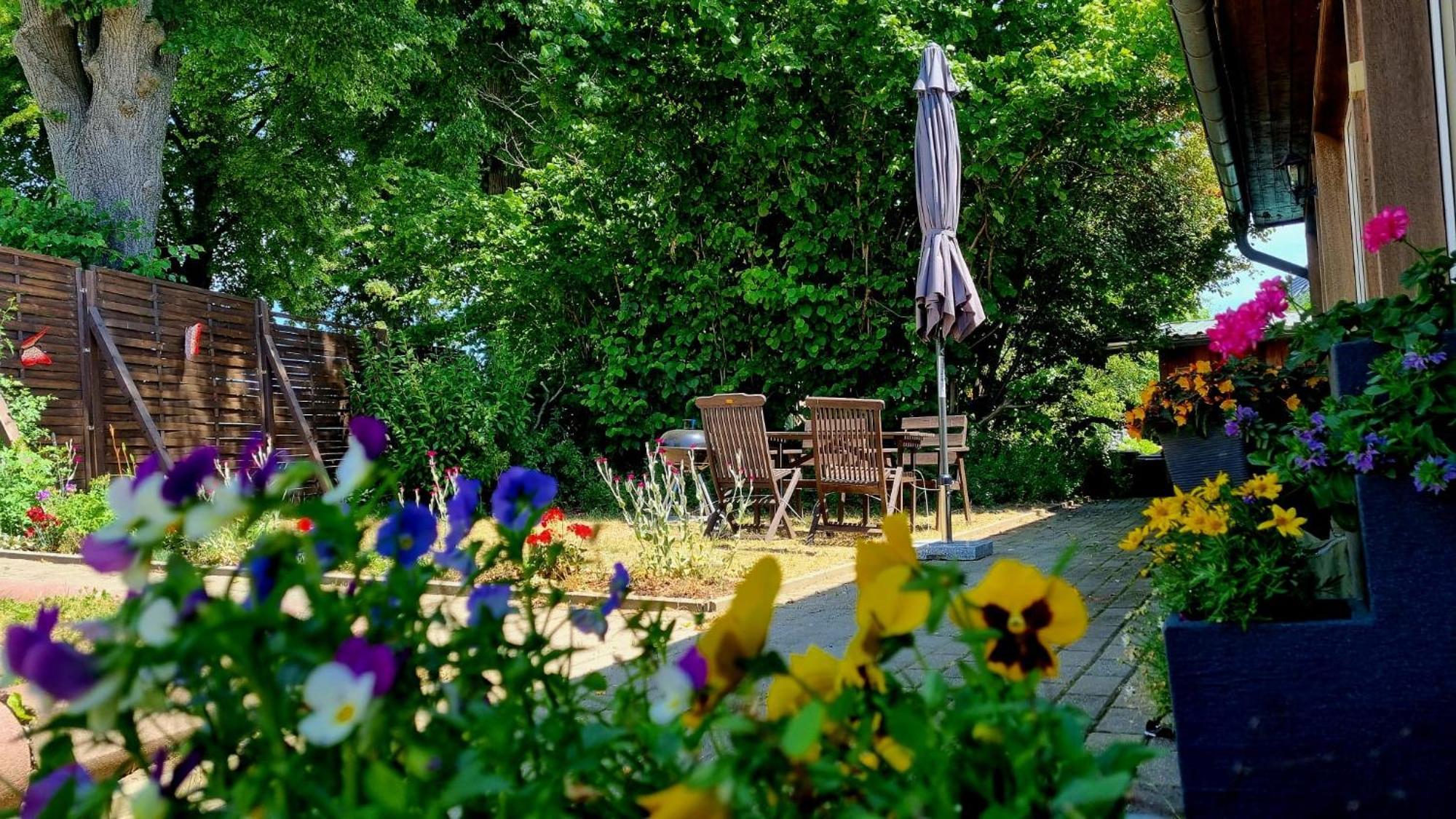 W5 - Urlaubsmagie - Wohnung Mit Grill, Terrasse & Pool Lichtenhain  Esterno foto